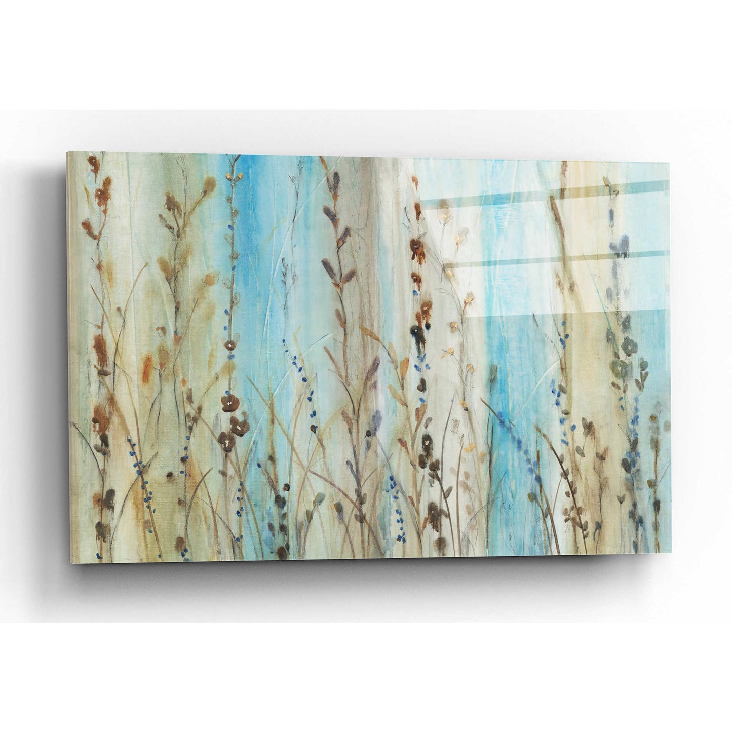 Epic Art 'Ombre Floral II' by Tim O'Toole, Acrylic Glass Wall Art,16x12