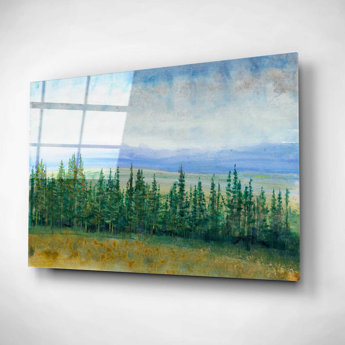 Epic Art 'Pine Tops I' by Tim O'Toole, Acrylic Glass Wall Art,16x12