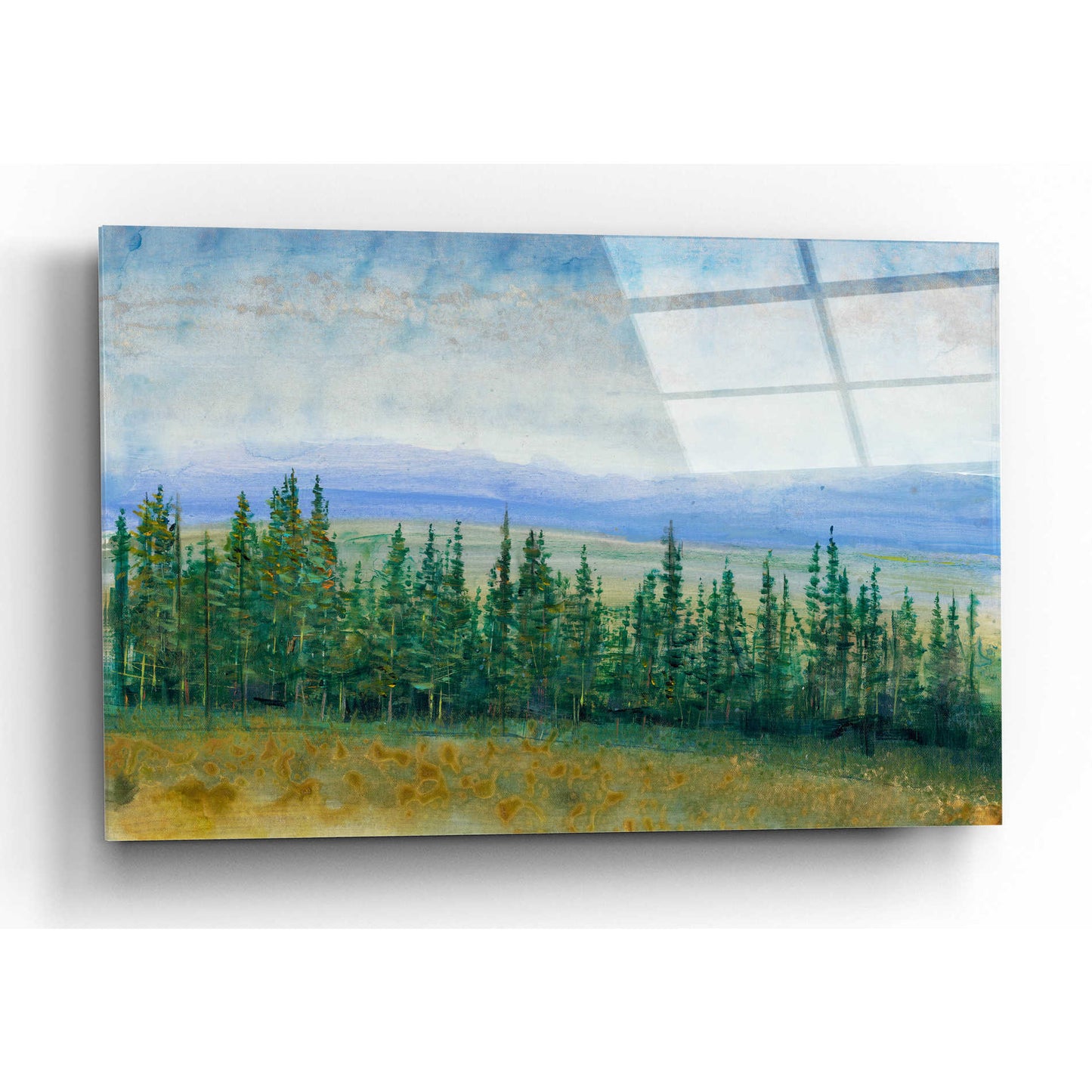 Epic Art 'Pine Tops I' by Tim O'Toole, Acrylic Glass Wall Art,16x12