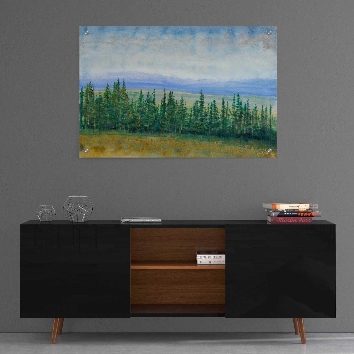 Epic Art 'Pine Tops I' by Tim O'Toole, Acrylic Glass Wall Art,36x24