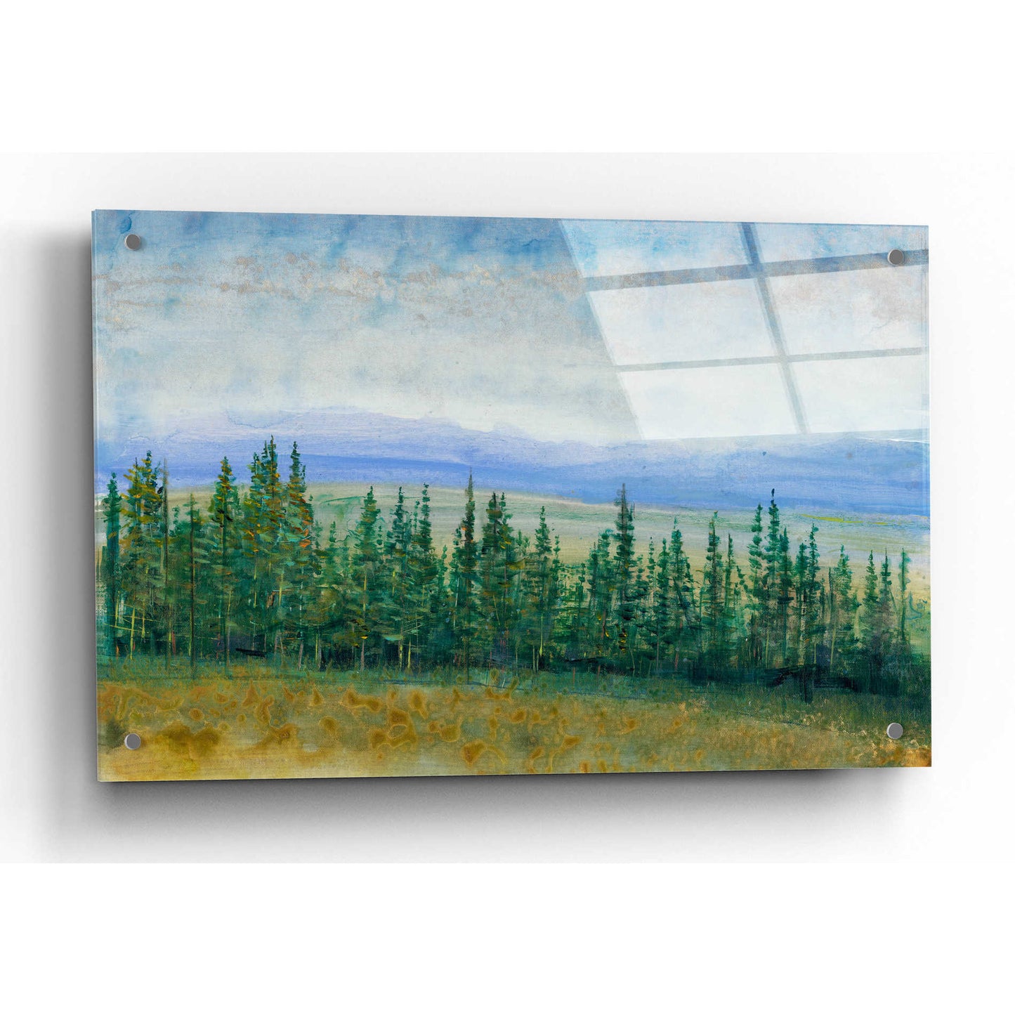 Epic Art 'Pine Tops I' by Tim O'Toole, Acrylic Glass Wall Art,36x24