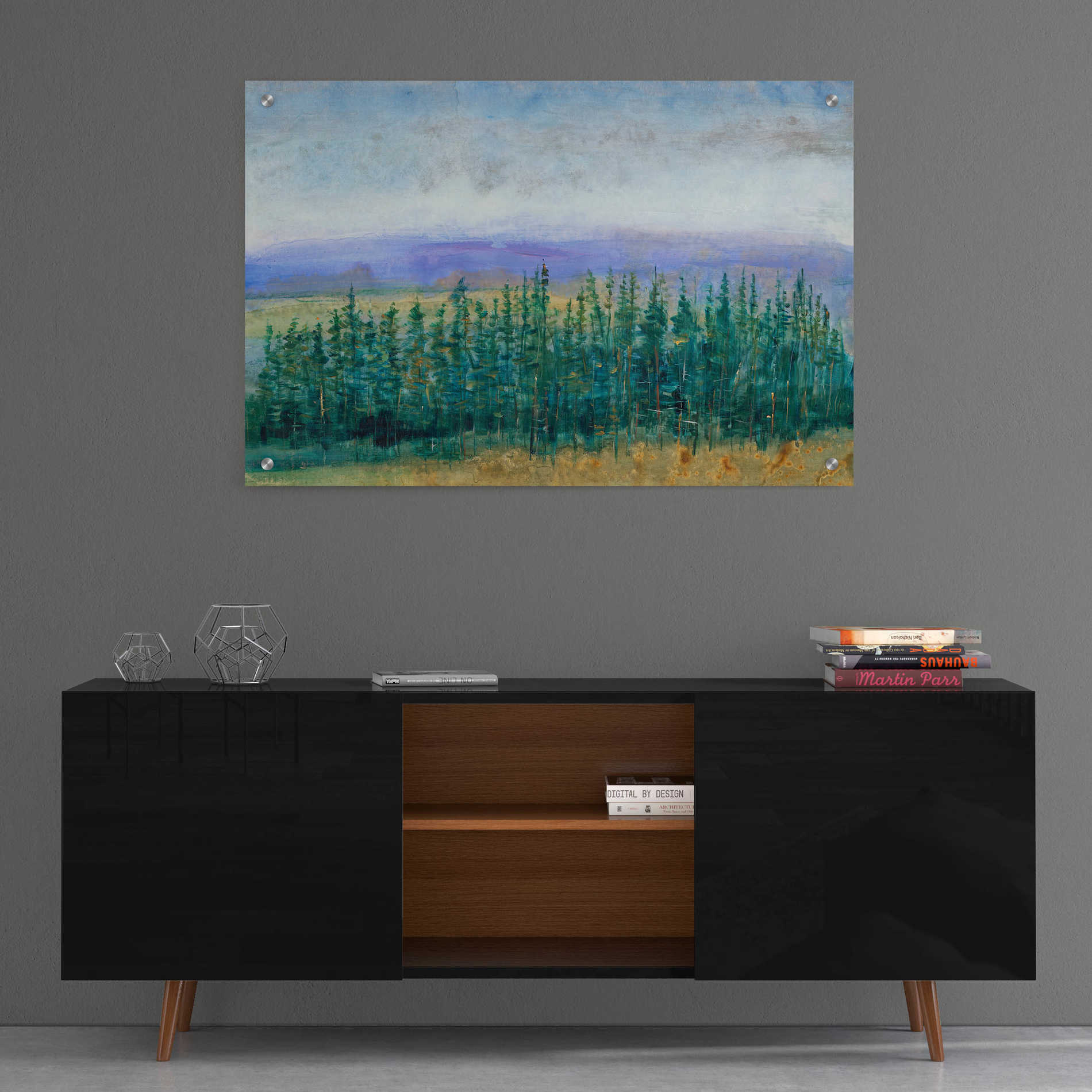 Epic Art 'Pine Tops II' by Tim O'Toole, Acrylic Glass Wall Art,36x24