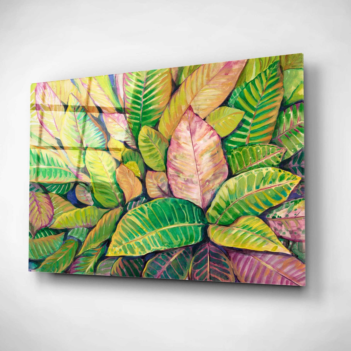 Epic Art 'Tropical Close Up I' by Tim O'Toole, Acrylic Glass Wall Art,16x12