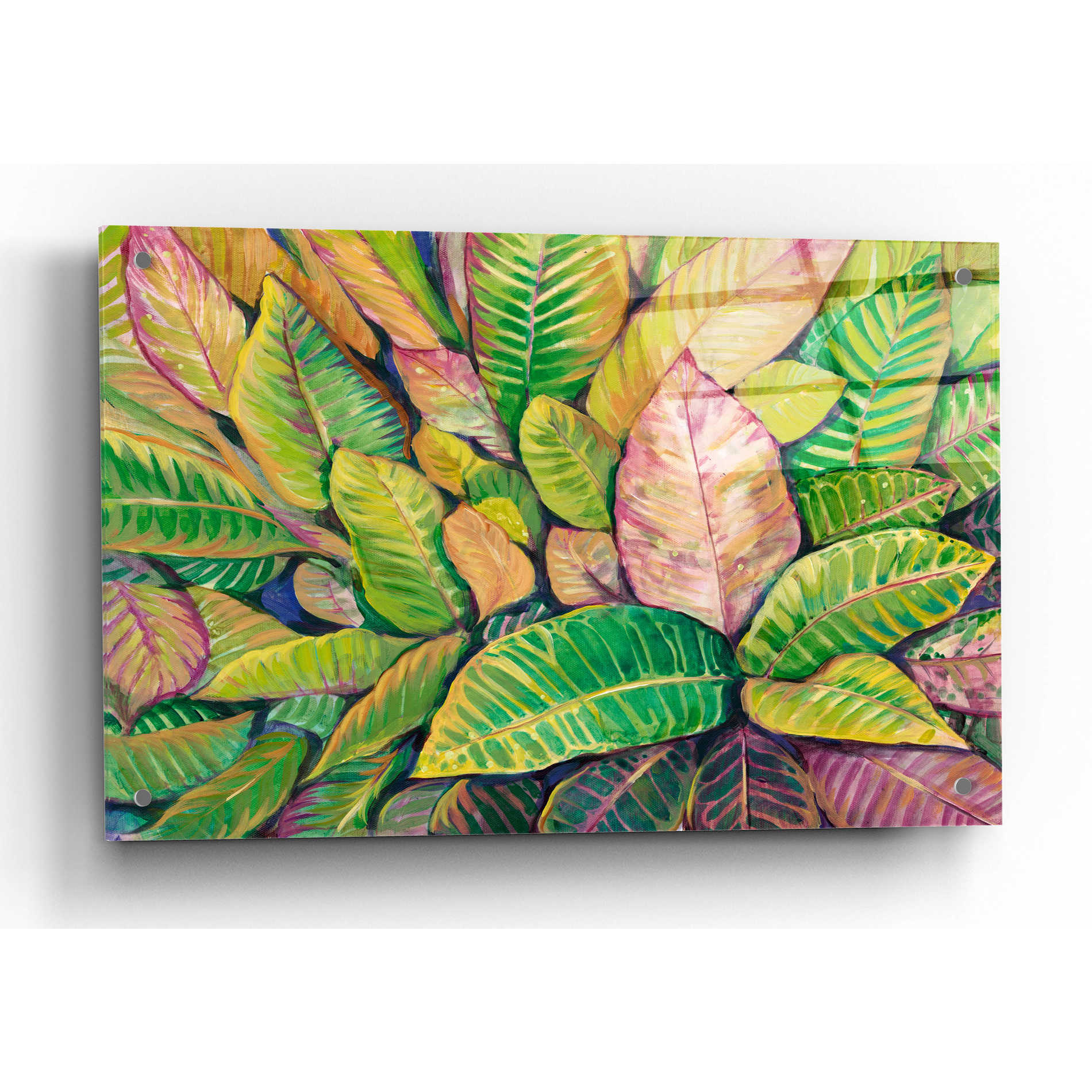 Epic Art 'Tropical Close Up I' by Tim O'Toole, Acrylic Glass Wall Art,36x24