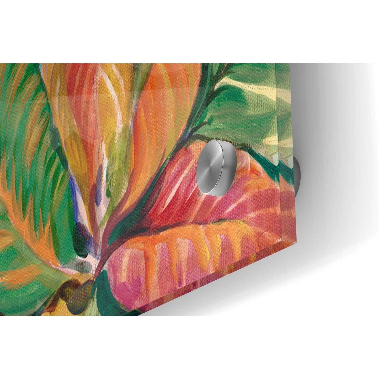 Epic Art 'Tropical Close Up II' by Tim O'Toole, Acrylic Glass Wall Art,36x24