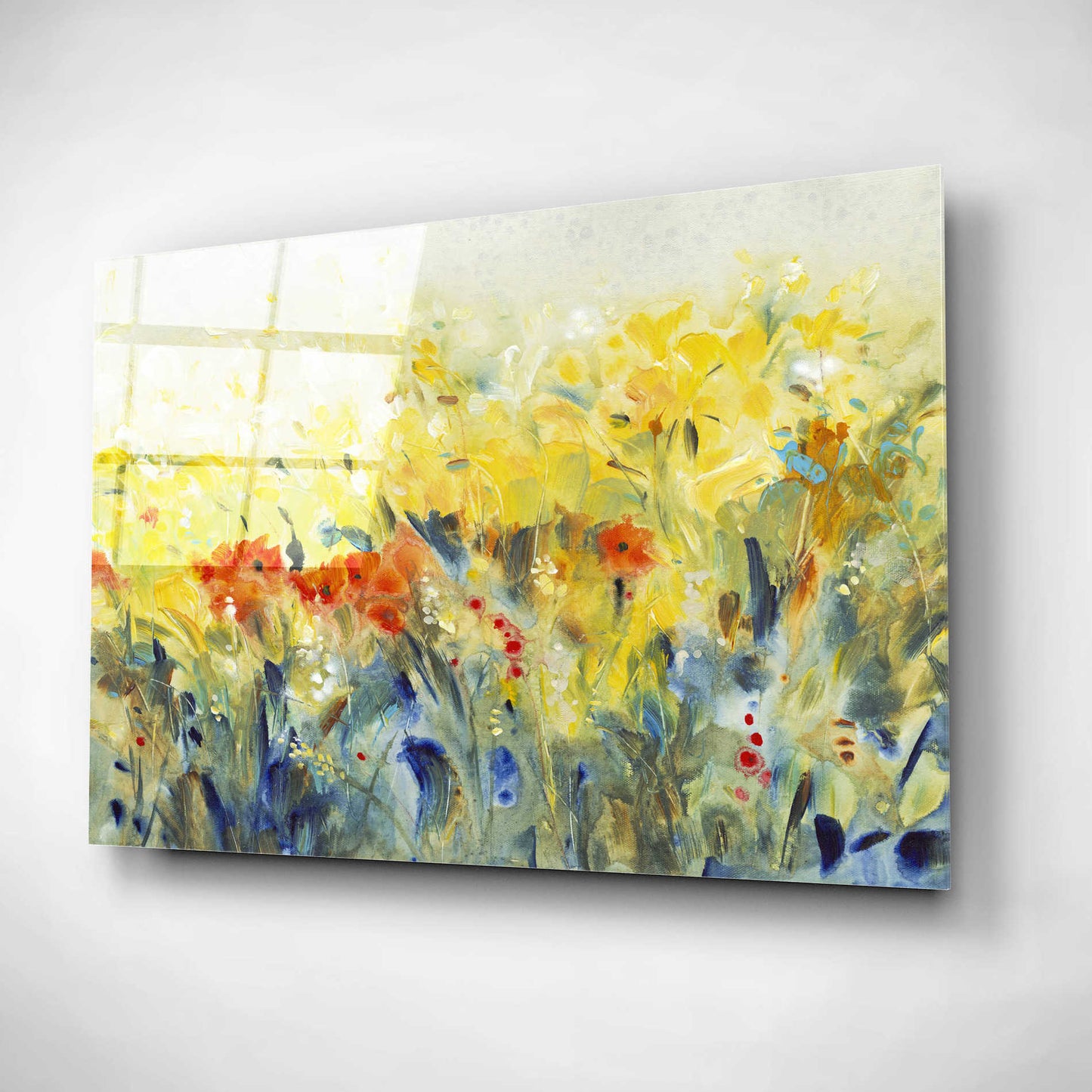 Epic Art 'Flowers Sway II' by Tim O'Toole, Acrylic Glass Wall Art,16x12