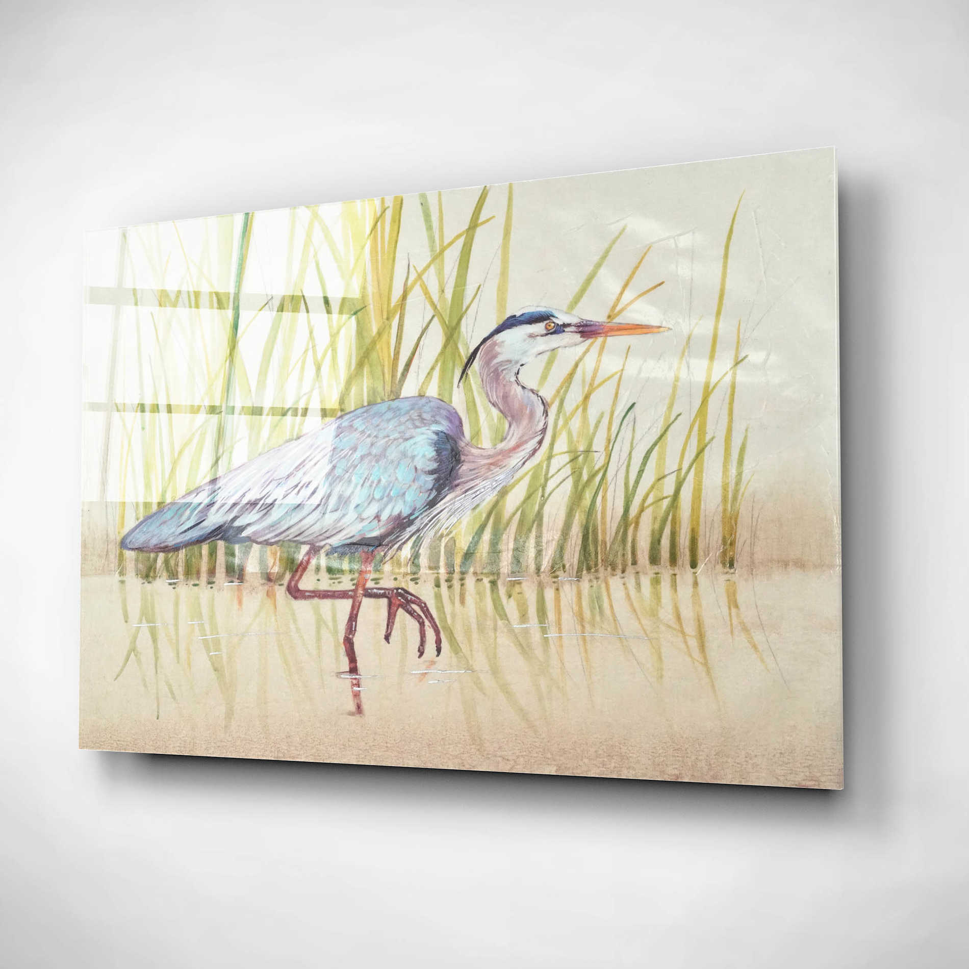 Epic Art 'Heron & Reeds I' by Tim O'Toole, Acrylic Glass Wall Art,16x12