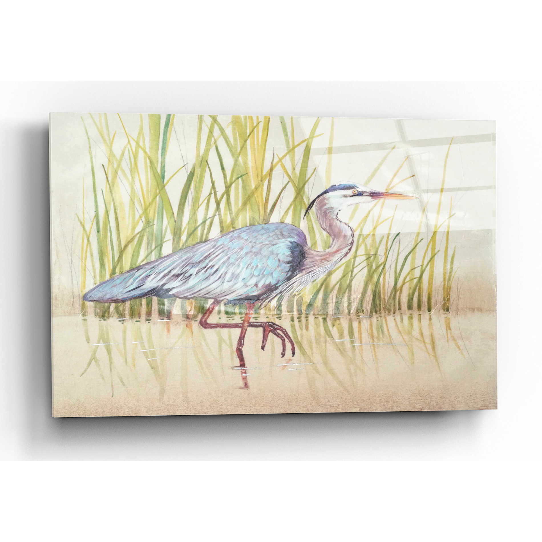 Epic Art 'Heron & Reeds I' by Tim O'Toole, Acrylic Glass Wall Art,16x12