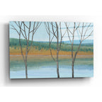 Epic Art 'Between Water III' by Tim O'Toole, Acrylic Glass Wall Art