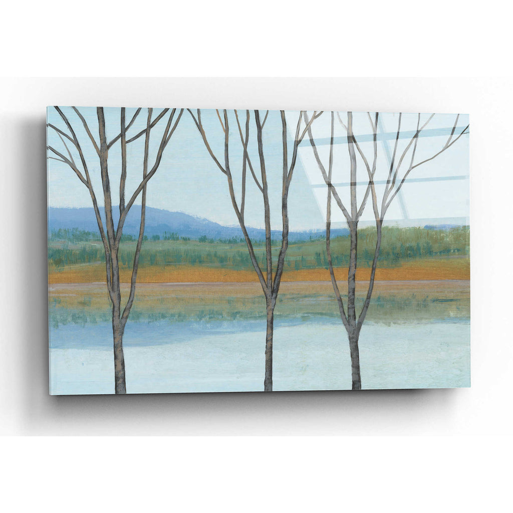 Epic Art 'Between Water IV' by Tim O'Toole, Acrylic Glass Wall Art