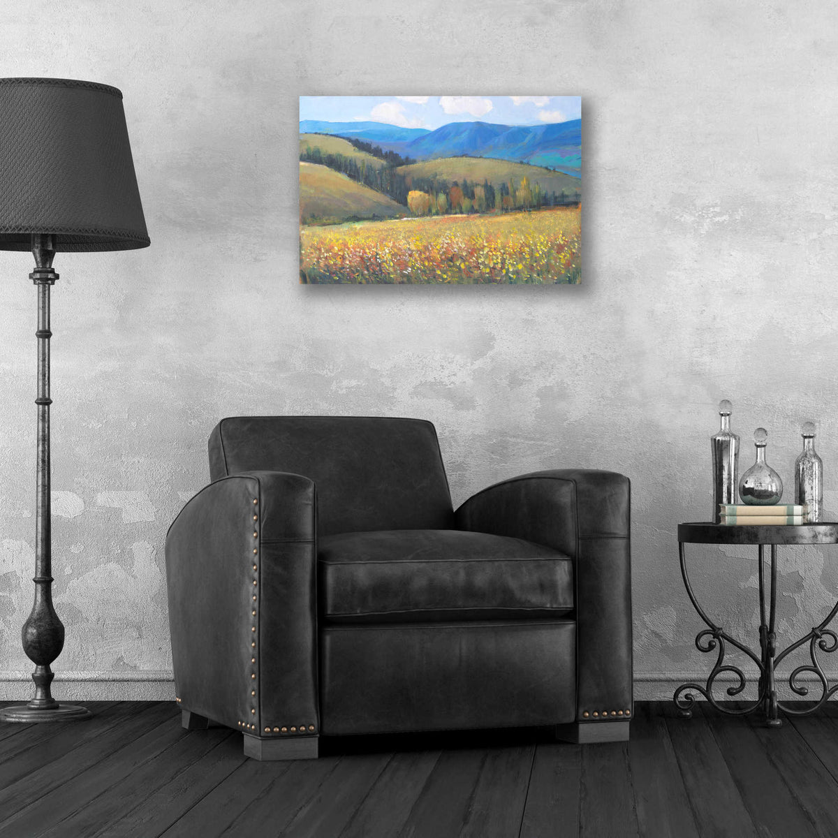 Epic Art 'Mountain Pass I' by Tim O'Toole, Acrylic Glass Wall Art,24x16