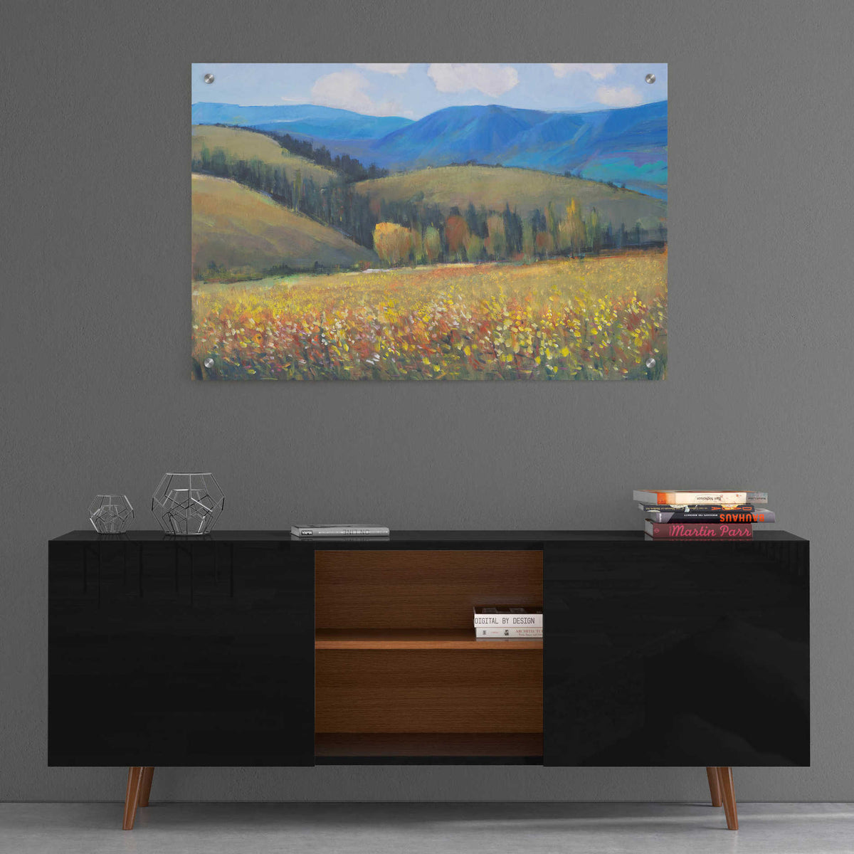 Epic Art 'Mountain Pass I' by Tim O'Toole, Acrylic Glass Wall Art,36x24