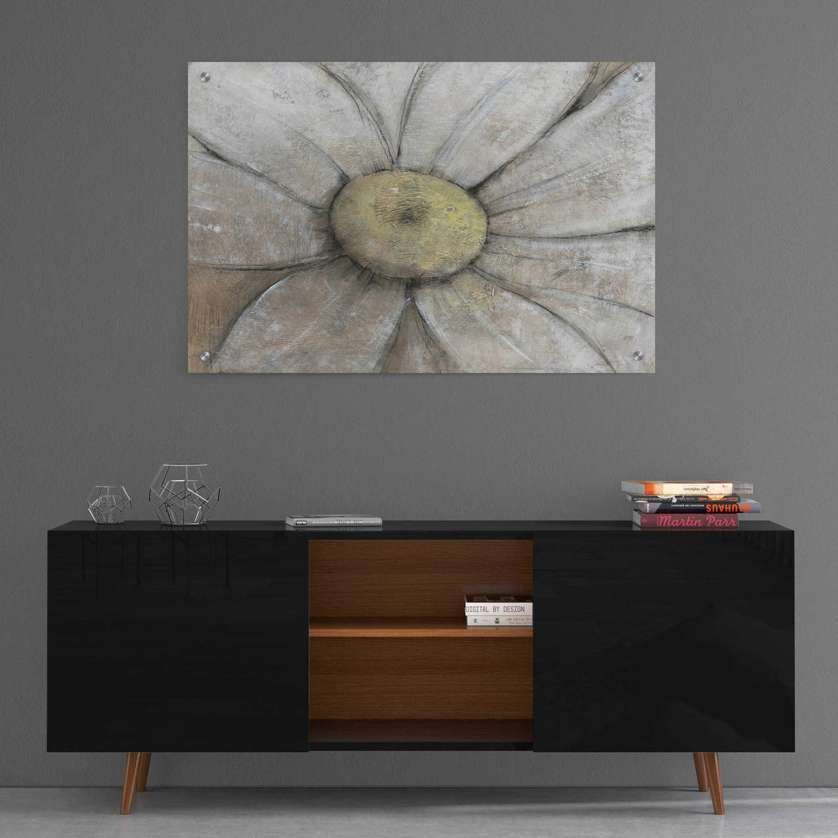 Epic Art 'Close-Up Daisy II' by Tim O'Toole, Acrylic Glass Wall Art,36x24