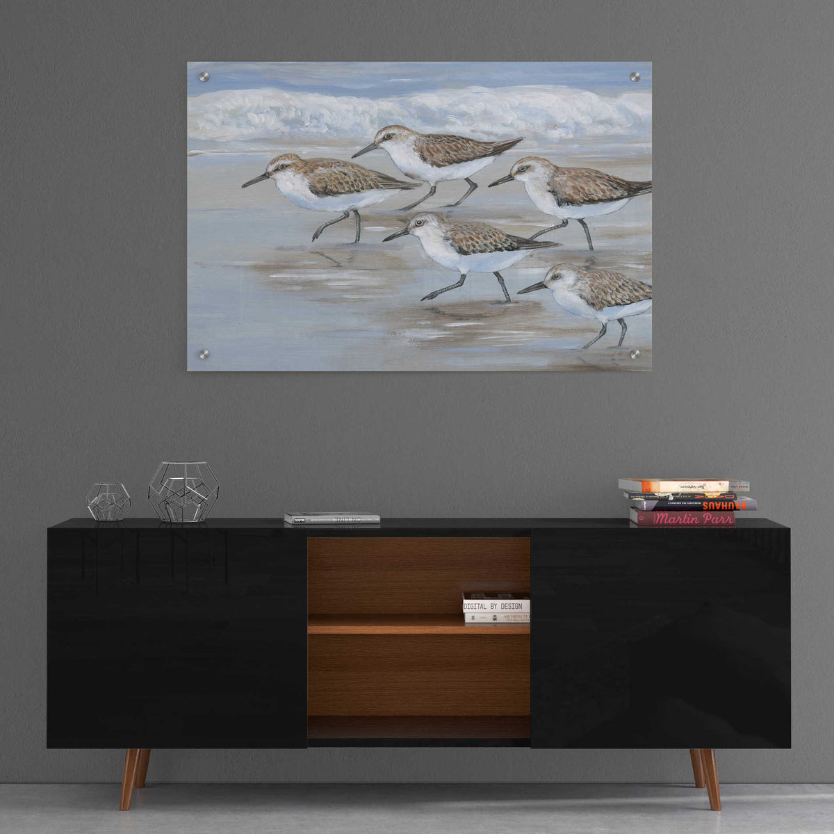 Epic Art 'Sandpipers I' by Tim O'Toole, Acrylic Glass Wall Art,36x24
