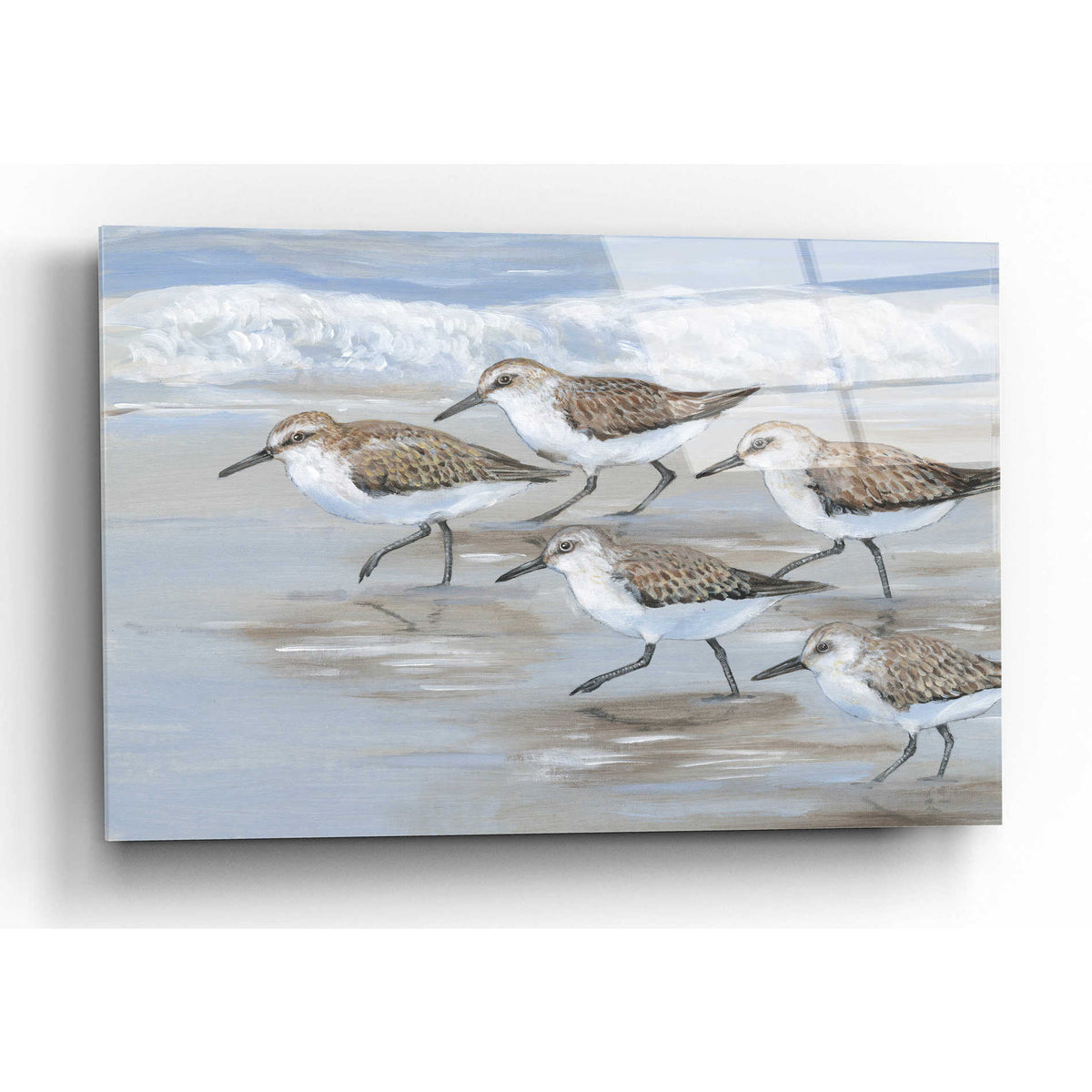 Epic Art 'Sandpipers I' by Tim O'Toole, Acrylic Glass Wall Art