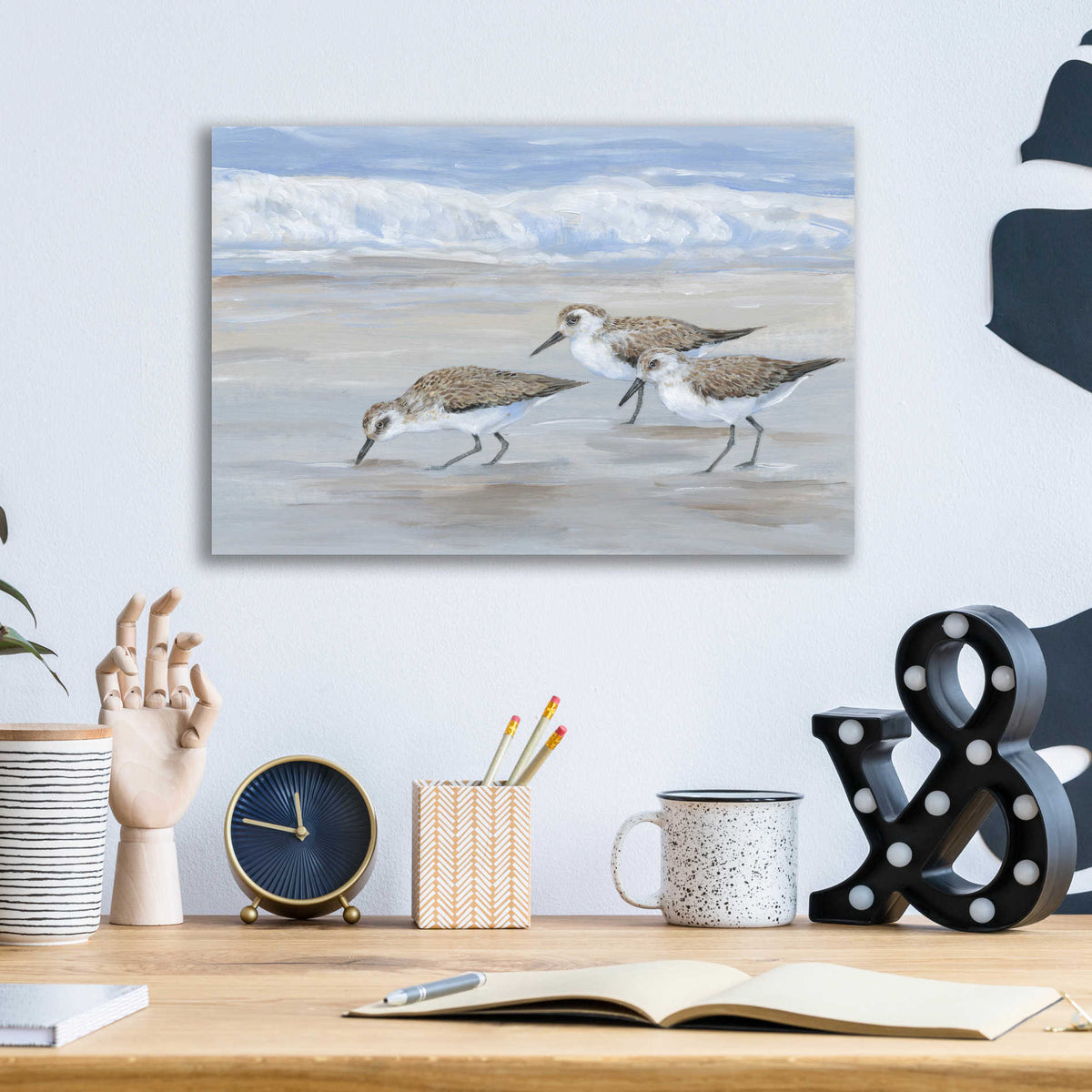 Epic Art 'Sandpipers II' by Tim O'Toole, Acrylic Glass Wall Art,16x12