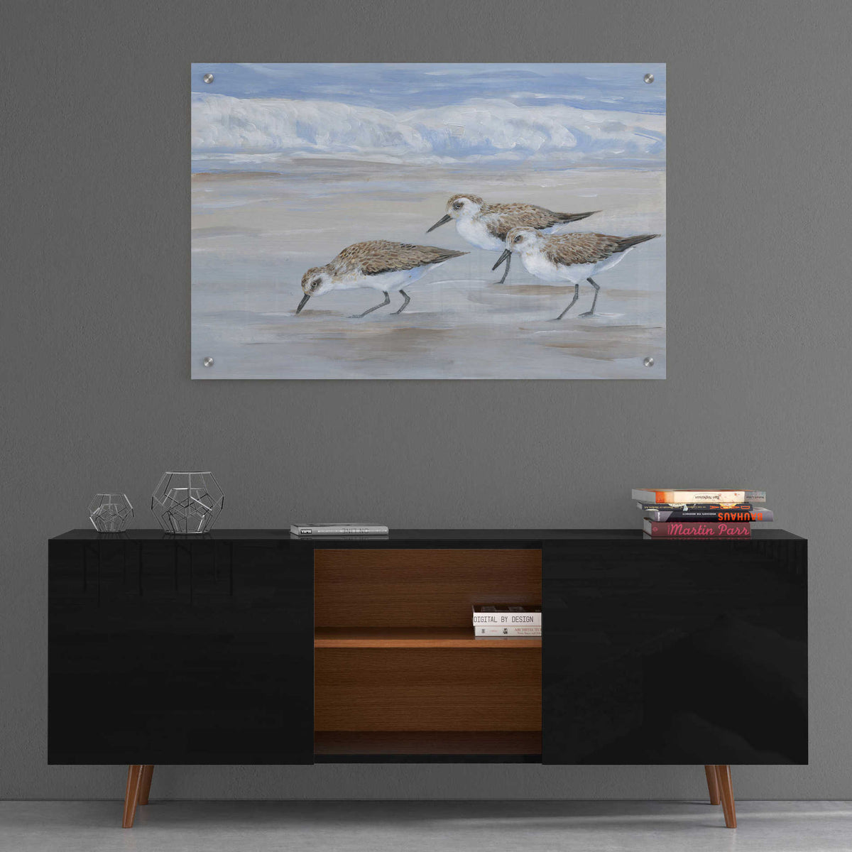 Epic Art 'Sandpipers II' by Tim O'Toole, Acrylic Glass Wall Art,36x24