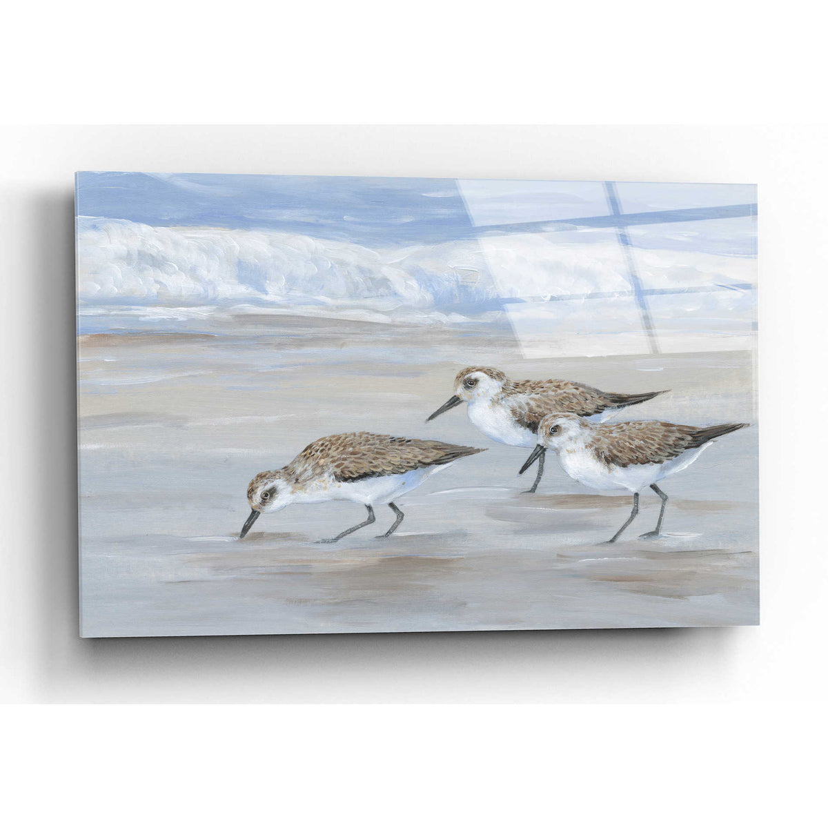 Epic Art 'Sandpipers II' by Tim O'Toole, Acrylic Glass Wall Art