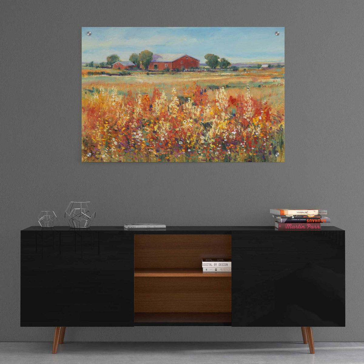 Epic Art 'Country View II' by Tim O'Toole, Acrylic Glass Wall Art,36x24