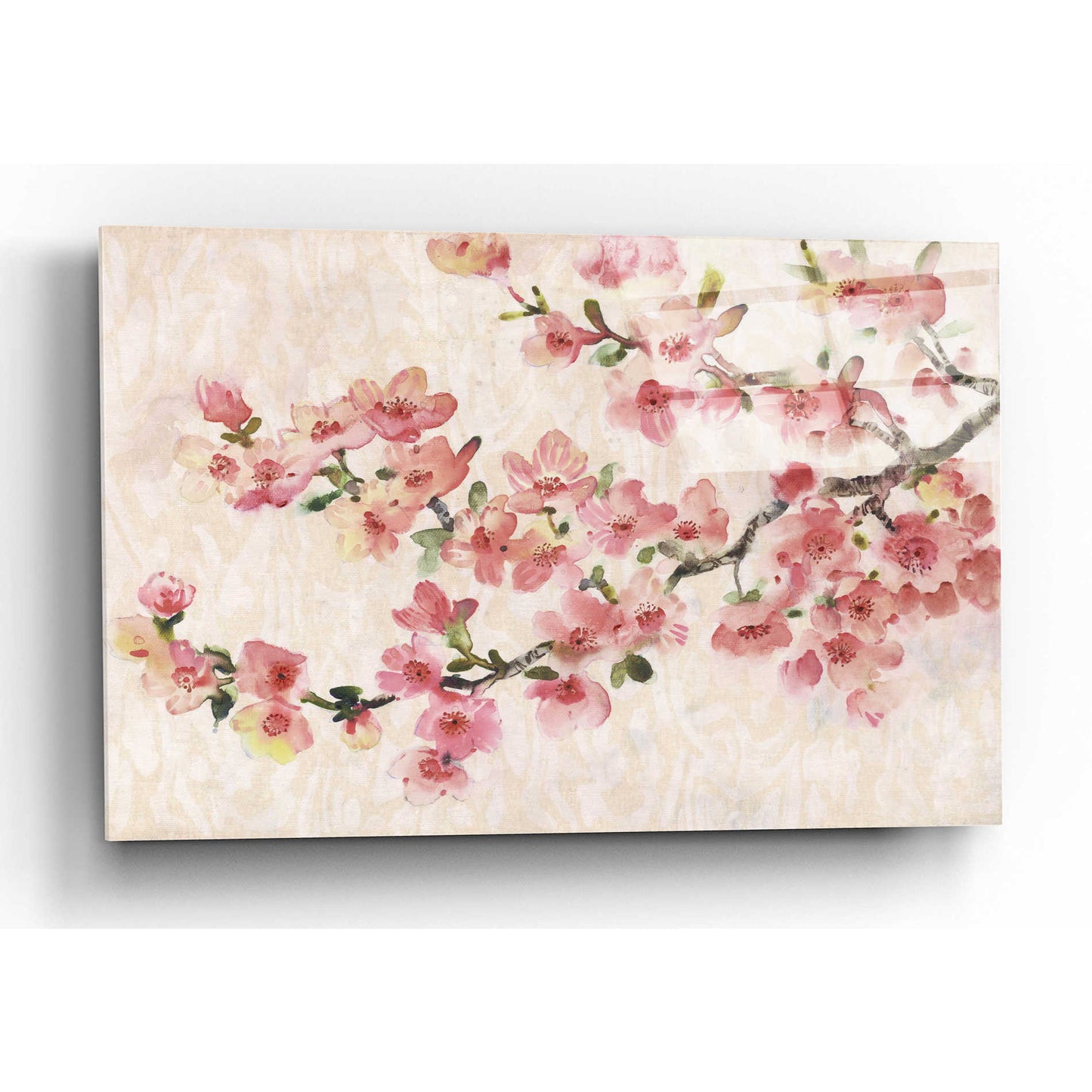 Epic Art 'Cherry Blossom Composition I' by Tim O'Toole, Acrylic Glass Wall Art,16x12