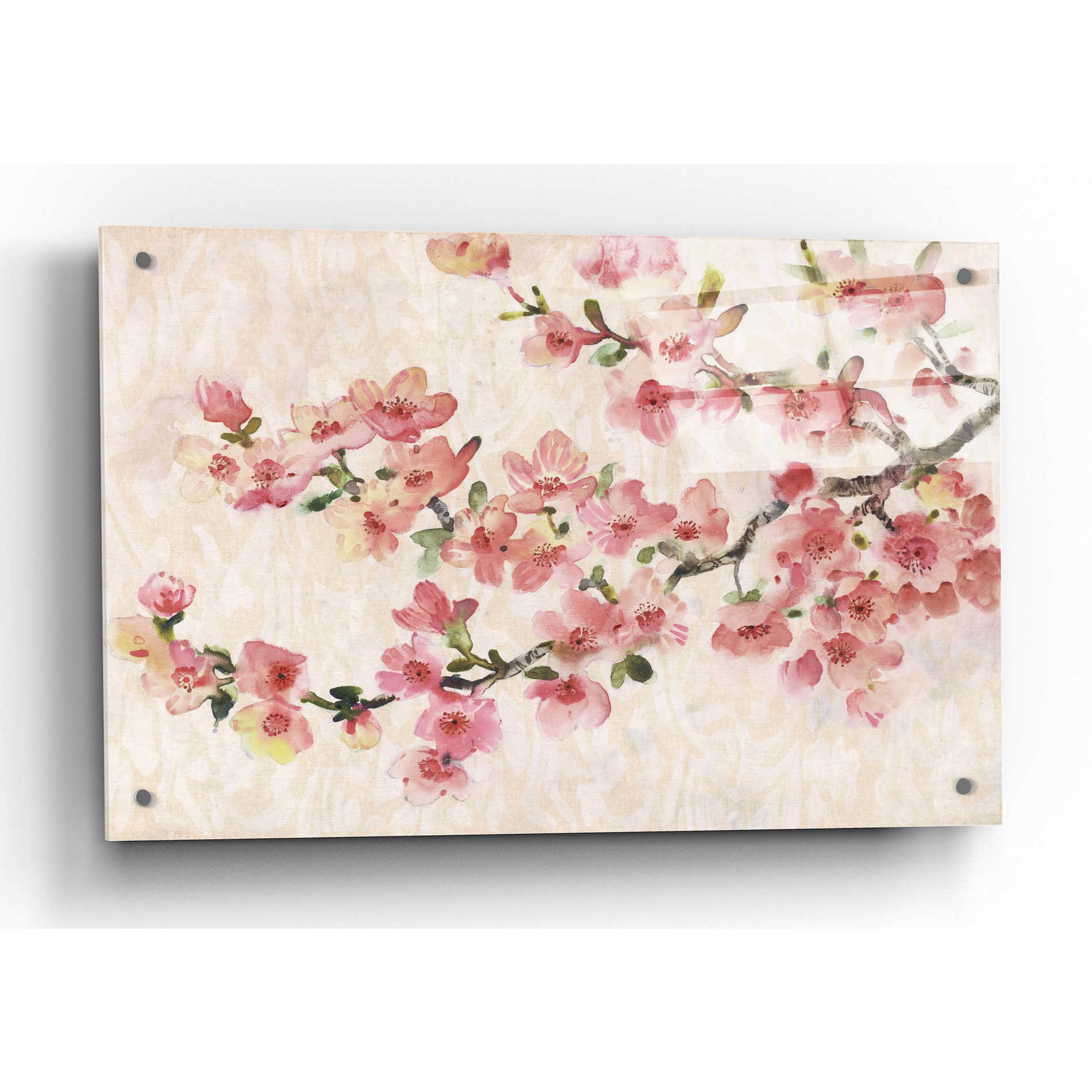 Epic Art 'Cherry Blossom Composition I' by Tim O'Toole, Acrylic Glass Wall Art,36x24