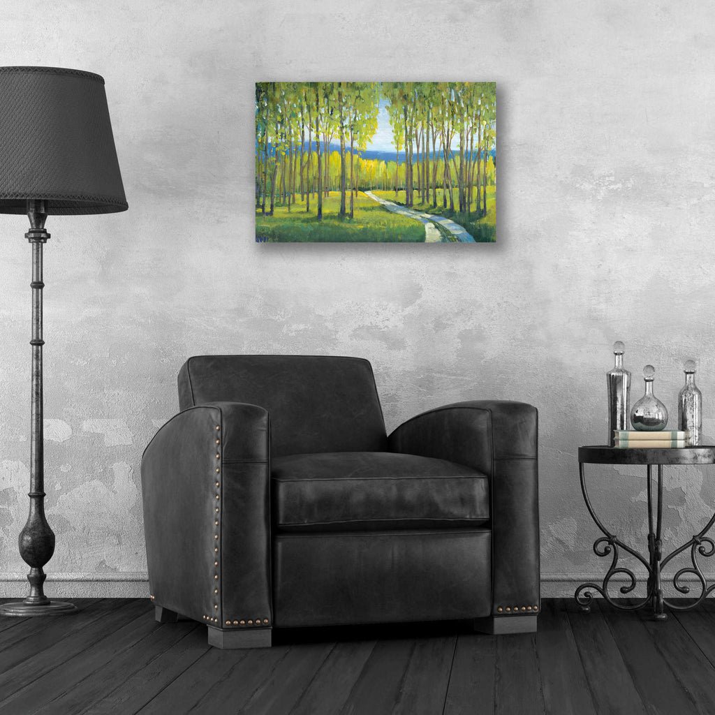 Epic Art 'Morning Stroll I' by Tim O'Toole, Acrylic Glass Wall Art,24x16