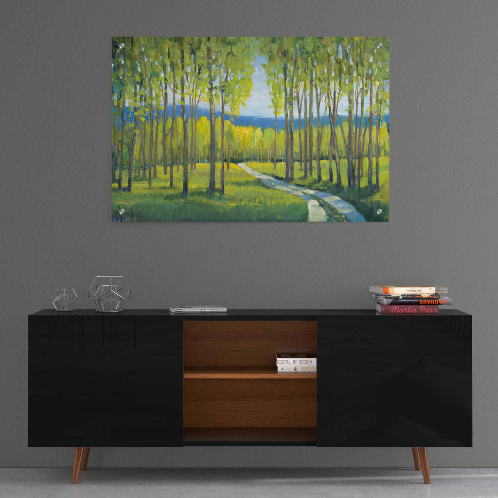 Epic Art 'Morning Stroll I' by Tim O'Toole, Acrylic Glass Wall Art,36x24