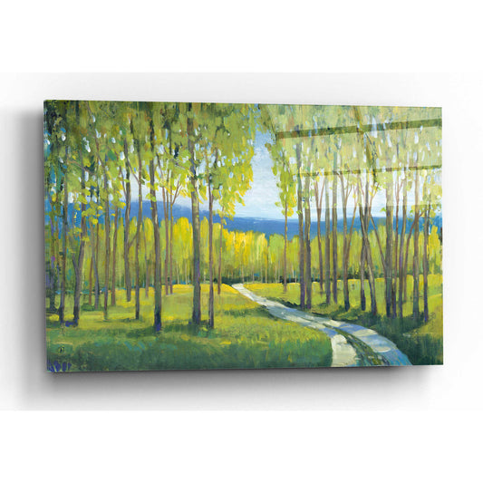 Epic Art 'Morning Stroll I' by Tim O'Toole, Acrylic Glass Wall Art