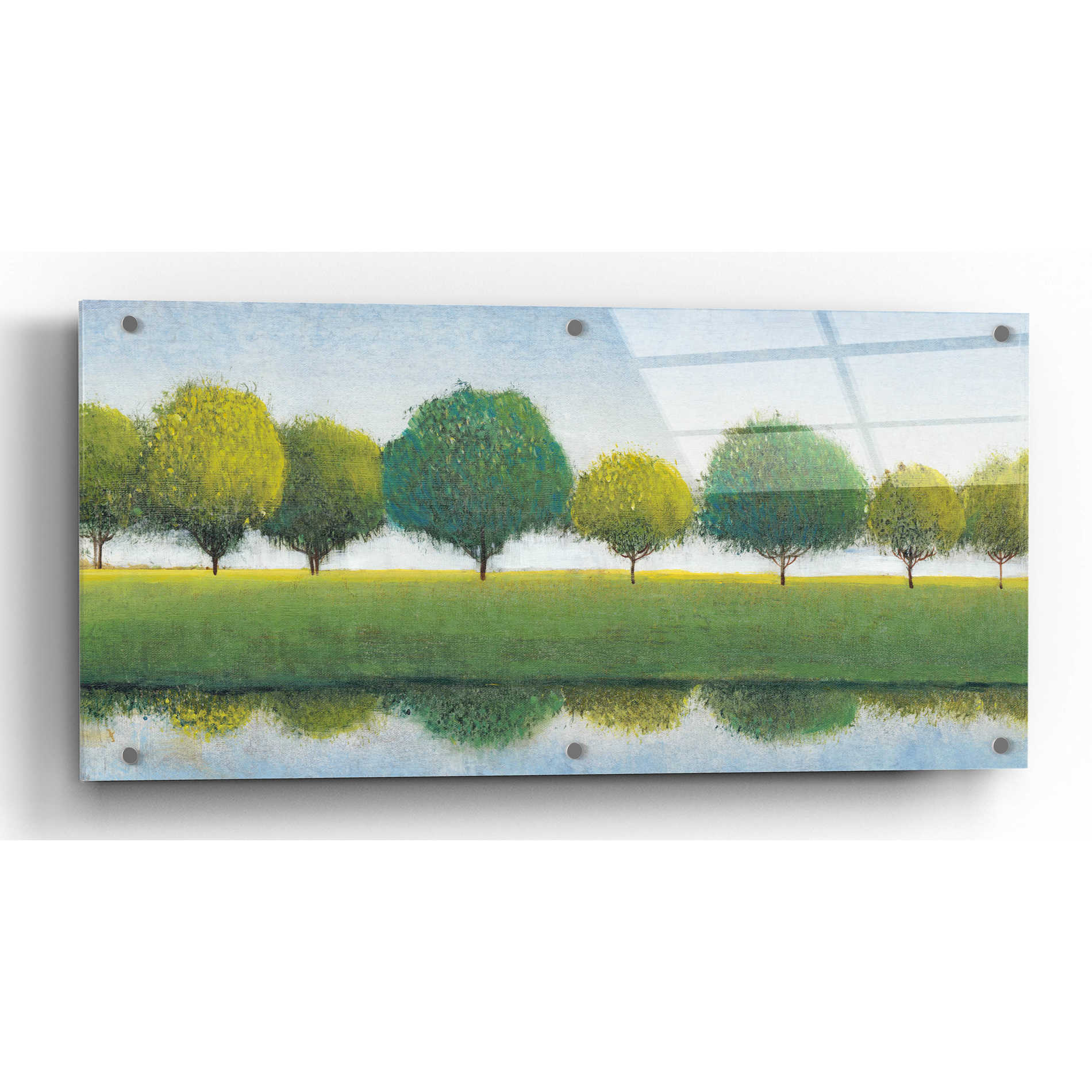 Epic Art 'Trees in a Line I' by Tim O'Toole, Acrylic Glass Wall Art,24x12