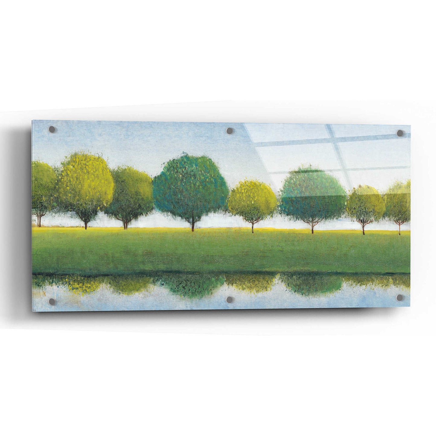 Epic Art 'Trees in a Line I' by Tim O'Toole, Acrylic Glass Wall Art,48x24
