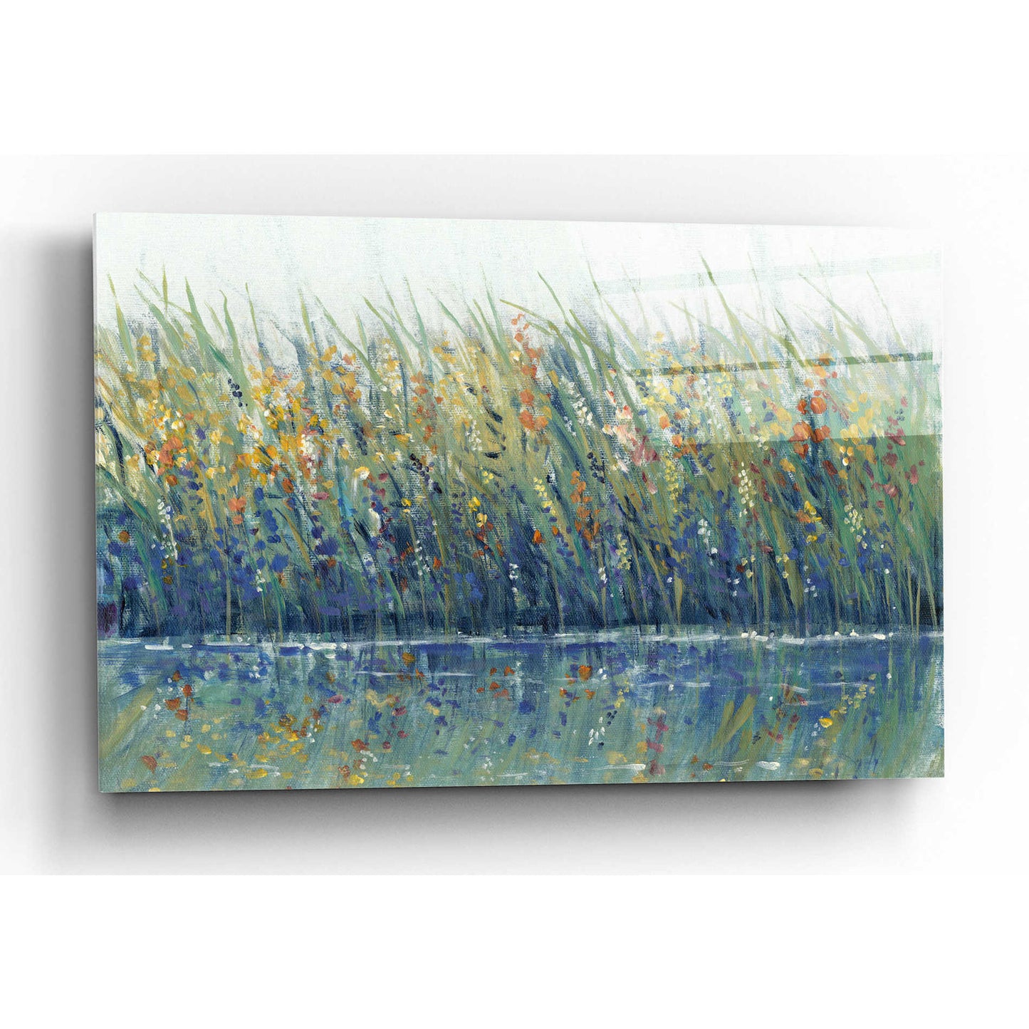 Epic Art 'Wildflower Reflection I' by Tim O'Toole, Acrylic Glass Wall Art,24x16