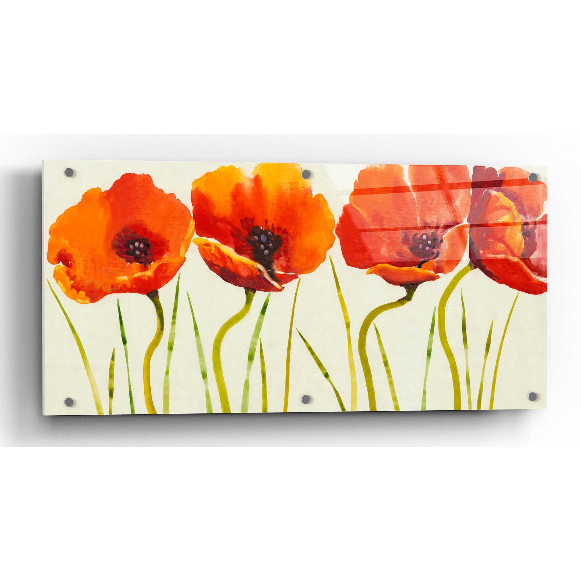 Epic Art 'Row of Tulips II' by Tim O'Toole, Acrylic Glass Wall Art,24x12