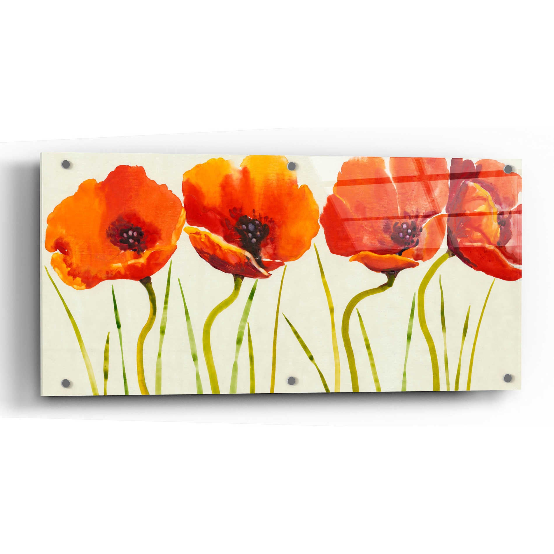 Epic Art 'Row of Tulips II' by Tim O'Toole, Acrylic Glass Wall Art,48x24