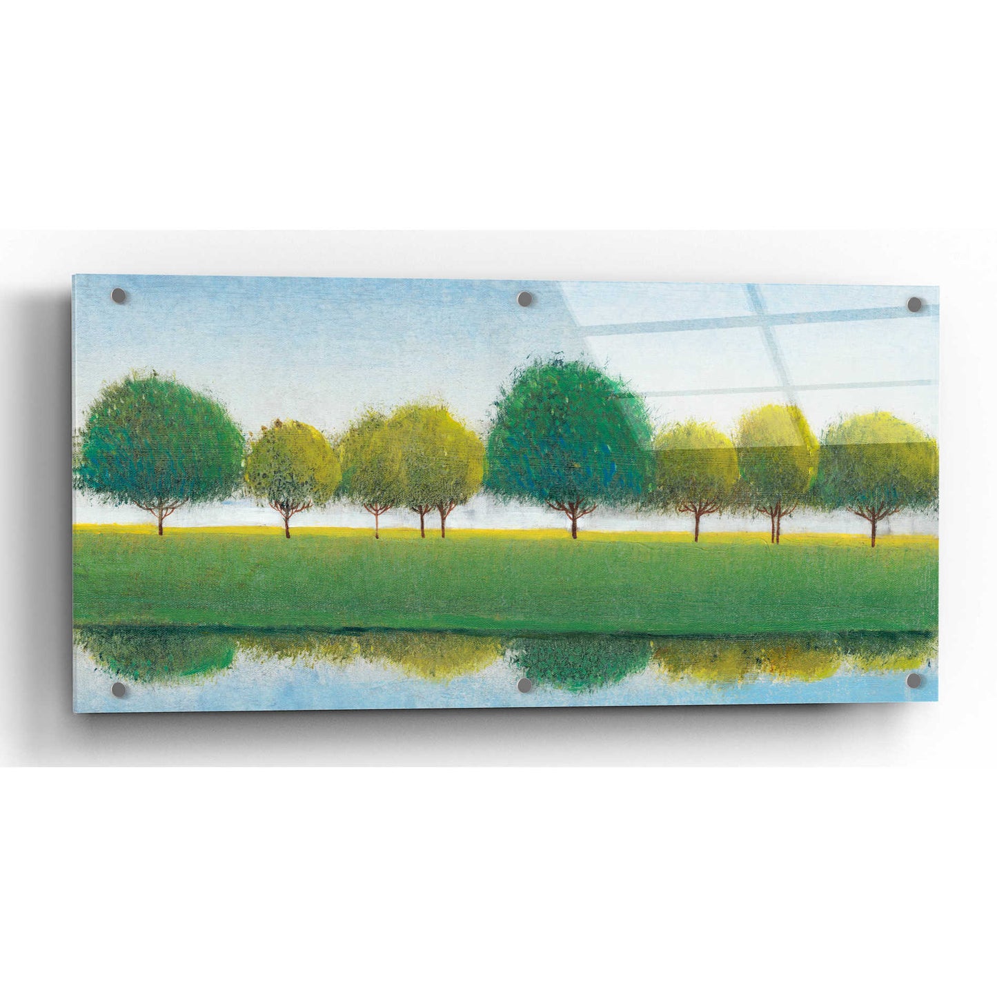 Epic Art 'Trees in a Line II' by Tim O'Toole, Acrylic Glass Wall Art,24x12