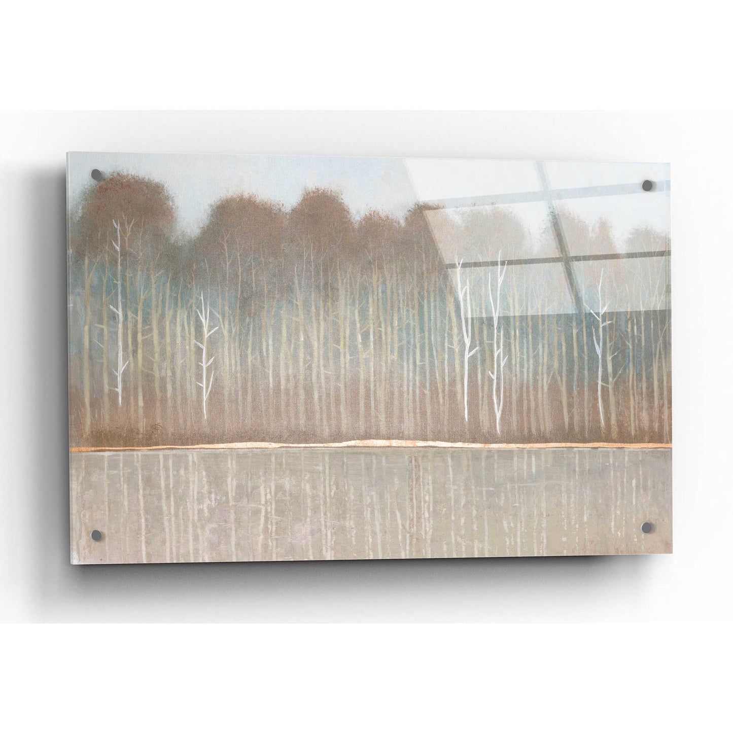 Epic Art 'Along the River Bank I' by Tim O'Toole, Acrylic Glass Wall Art,36x24