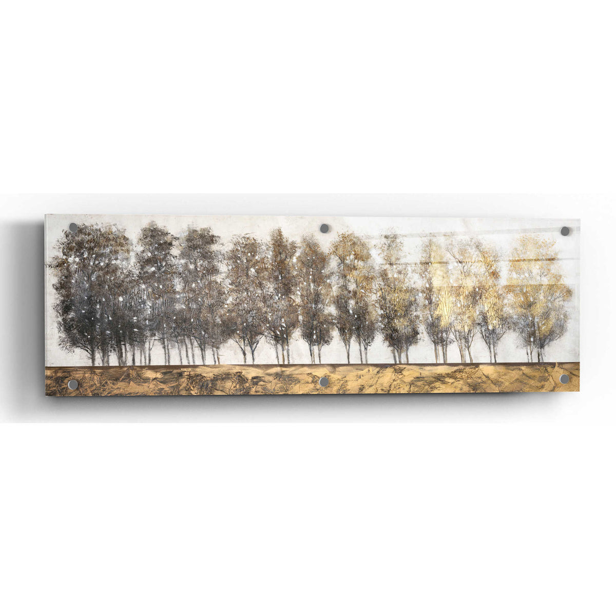 Epic Art 'Gilt Foliage' by Tim O'Toole, Acrylic Glass Wall Art,3:1