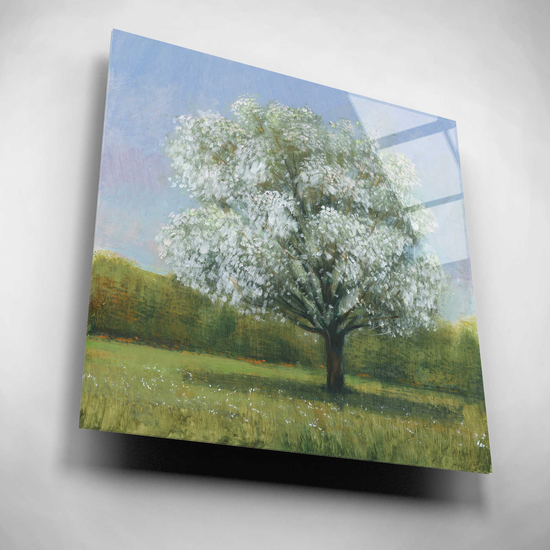 Epic Art 'Spring Blossom Tree II' by Tim O'Toole, Acrylic Glass Wall Art,12x12