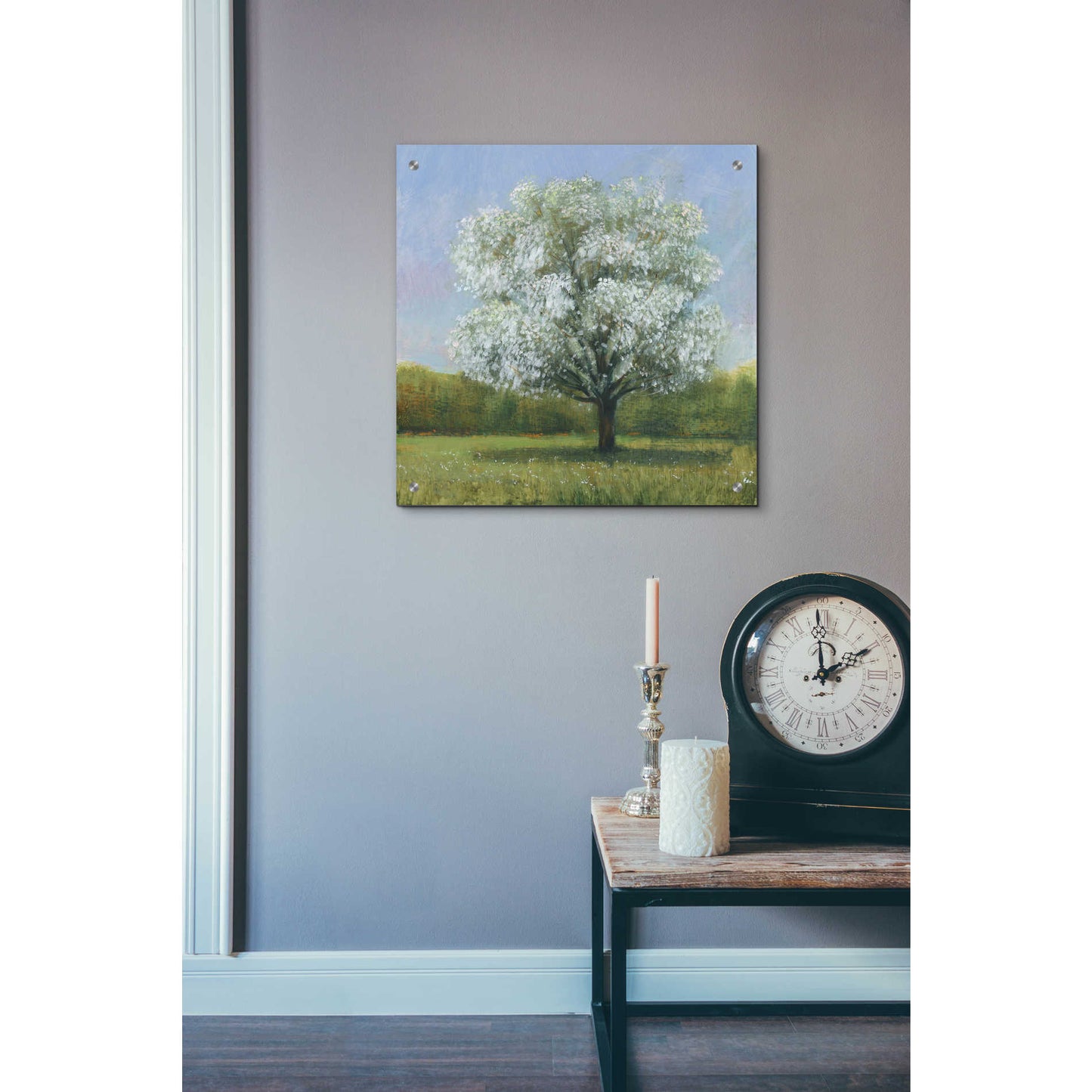 Epic Art 'Spring Blossom Tree II' by Tim O'Toole, Acrylic Glass Wall Art,24x24