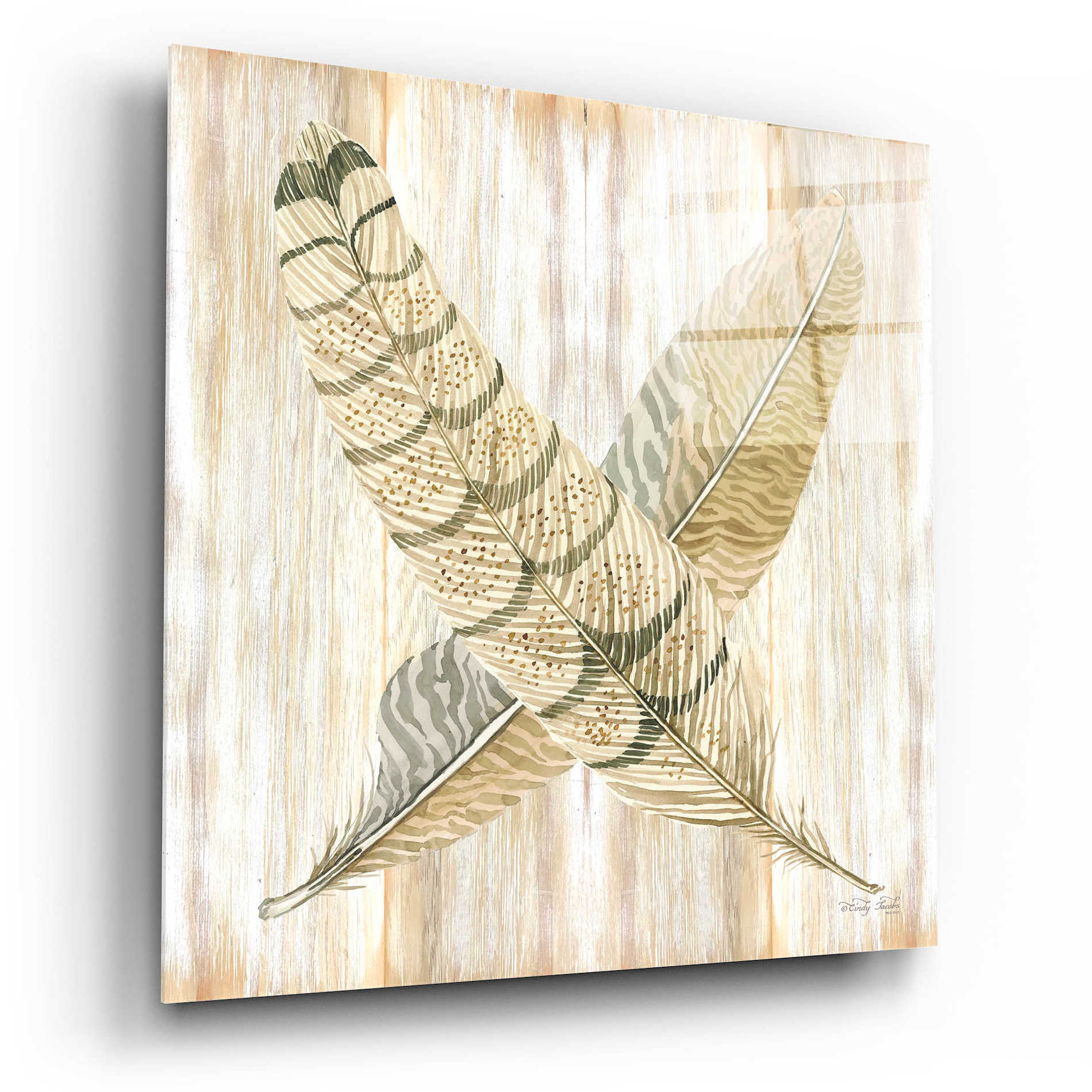 Epic Art 'Feathers Crossed I' by Cindy Jacobs, Acrylic Glass Wall Art,12x12