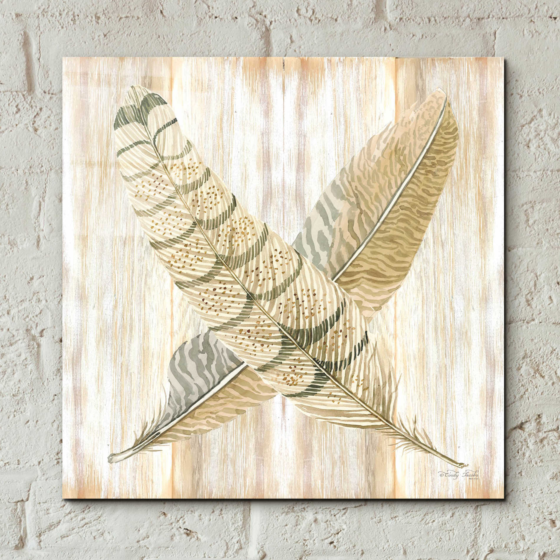 Epic Art 'Feathers Crossed I' by Cindy Jacobs, Acrylic Glass Wall Art,12x12