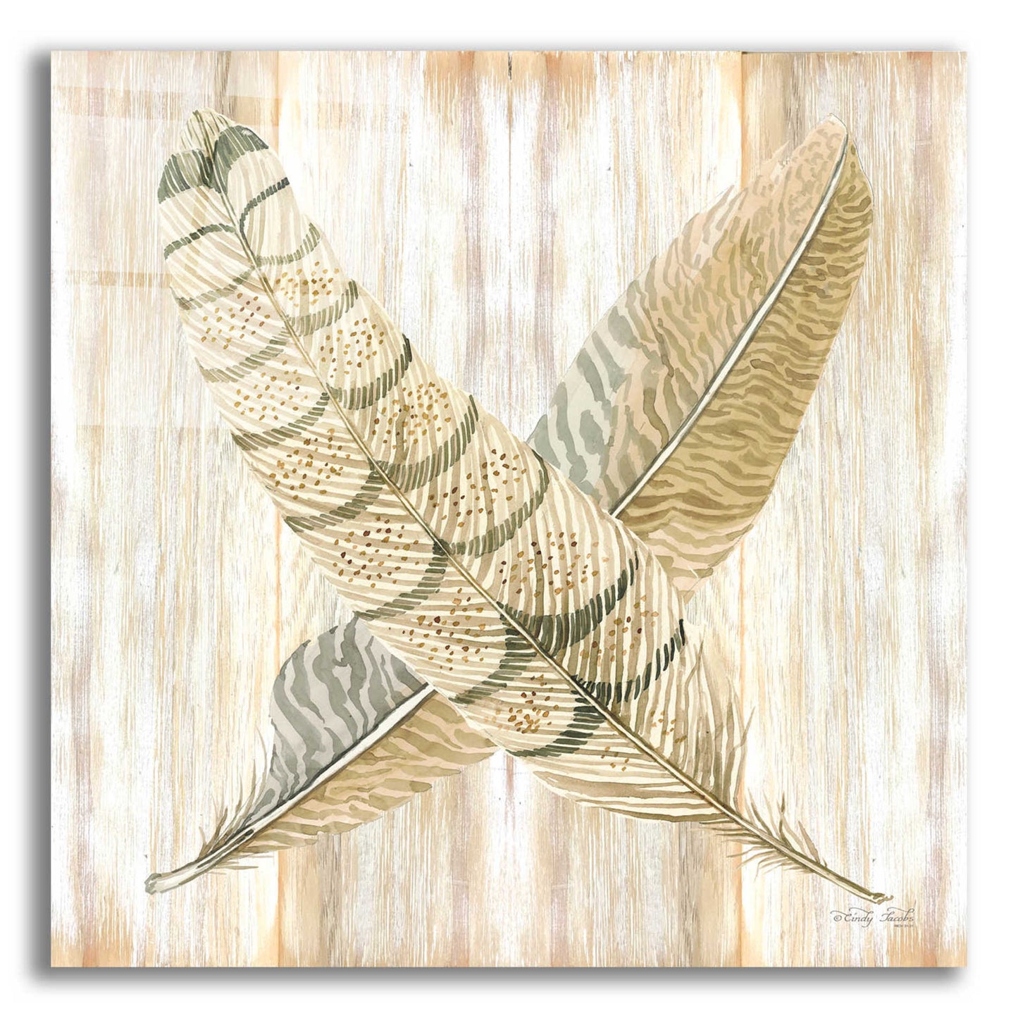 Epic Art 'Feathers Crossed I' by Cindy Jacobs, Acrylic Glass Wall Art,12x12