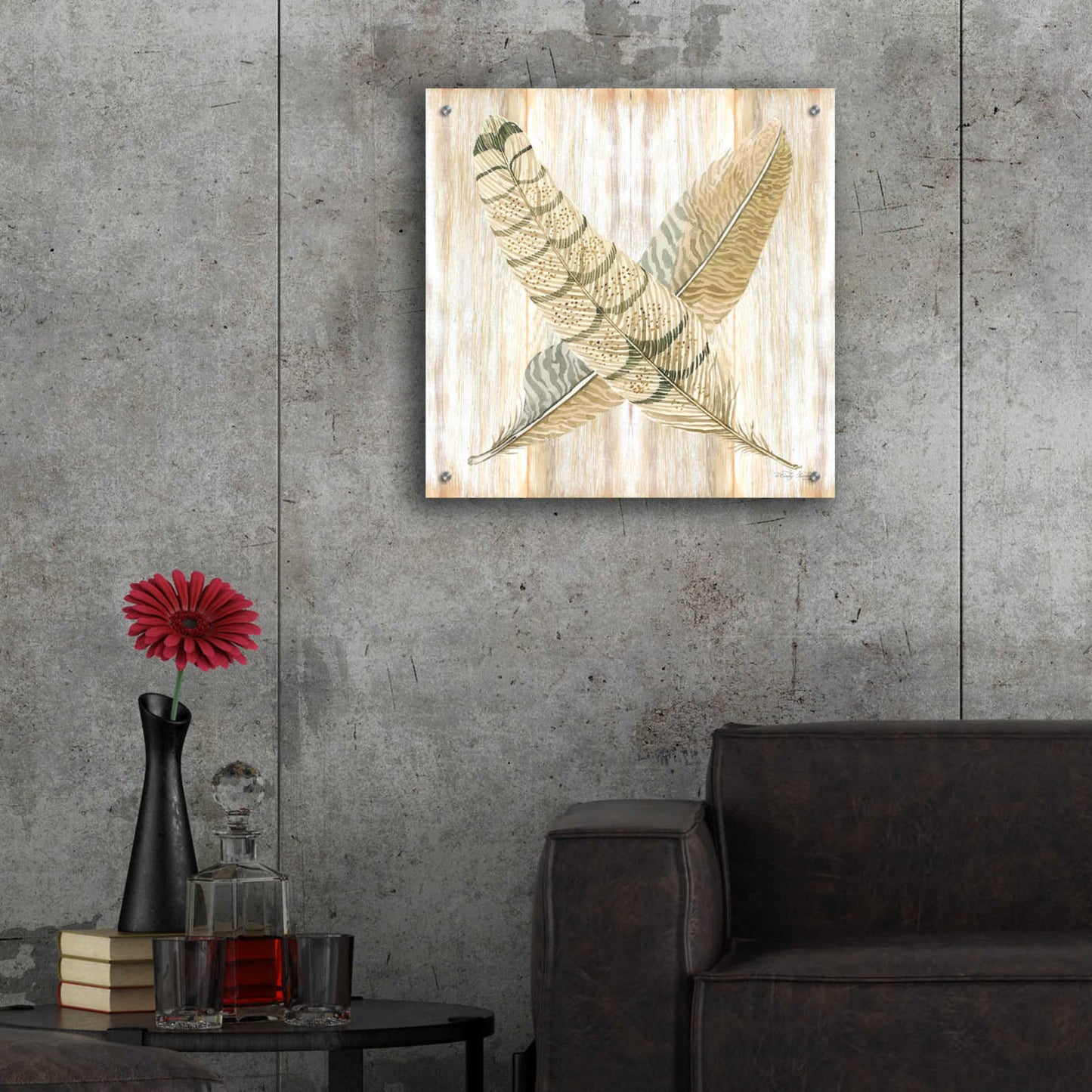 Epic Art 'Feathers Crossed I' by Cindy Jacobs, Acrylic Glass Wall Art,24x24