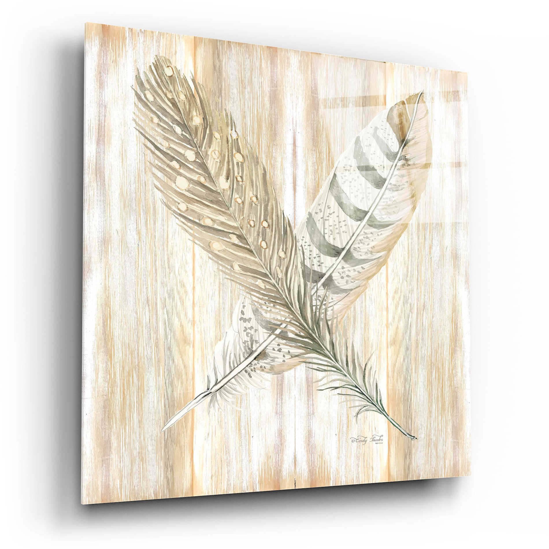 Epic Art 'Feathers Crossed II' by Cindy Jacobs, Acrylic Glass Wall Art,12x12