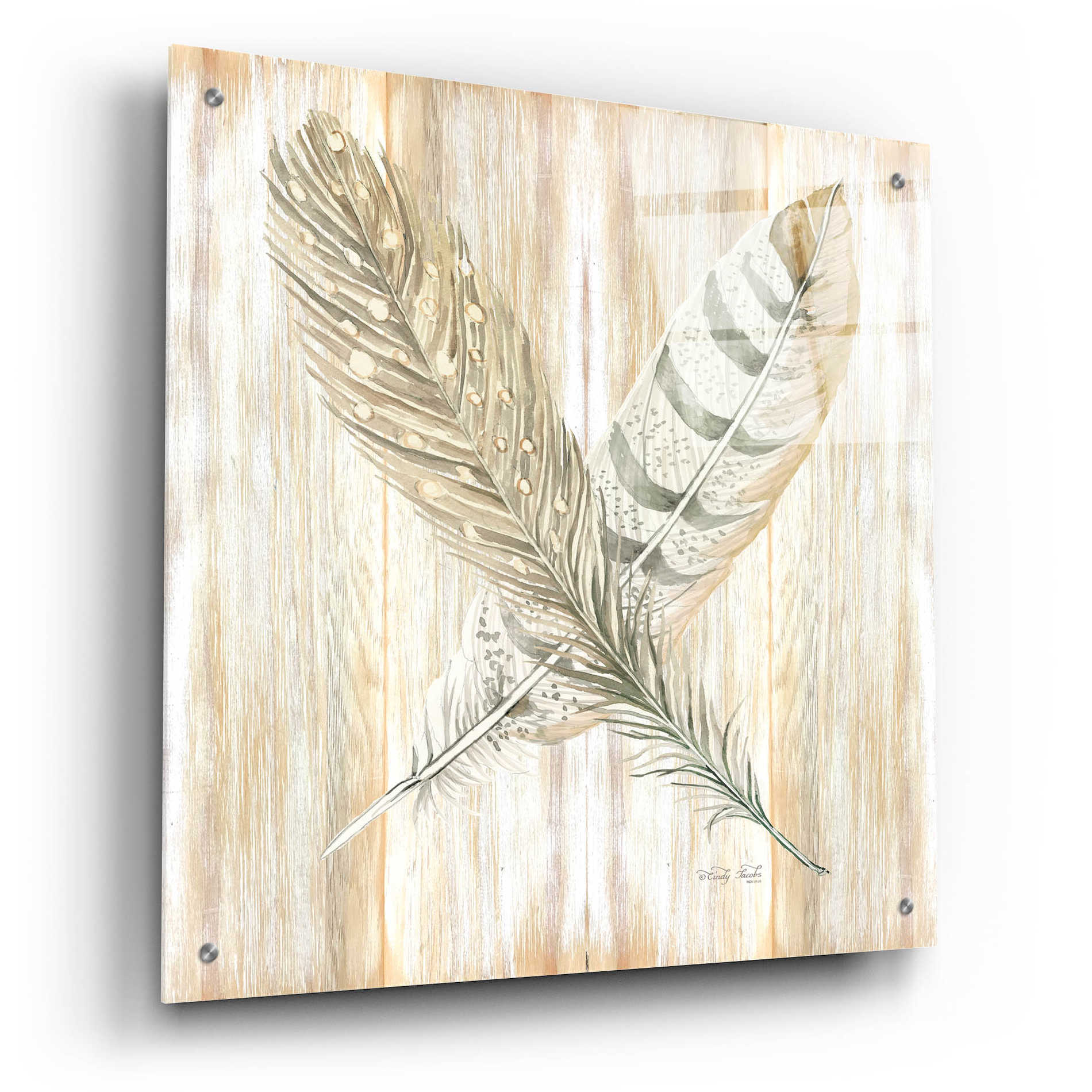 Epic Art 'Feathers Crossed II' by Cindy Jacobs, Acrylic Glass Wall Art,24x24