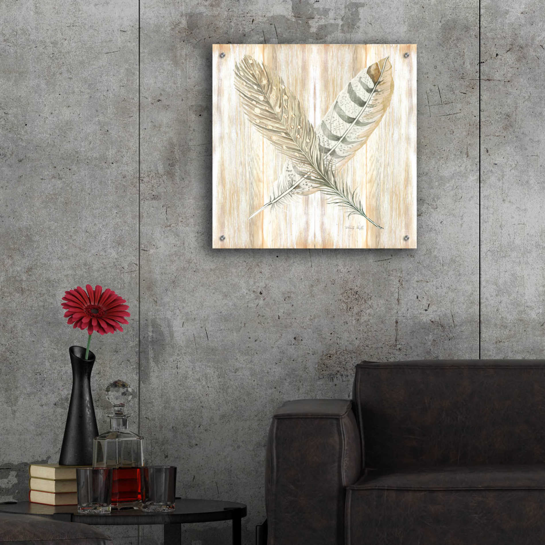 Epic Art 'Feathers Crossed II' by Cindy Jacobs, Acrylic Glass Wall Art,24x24