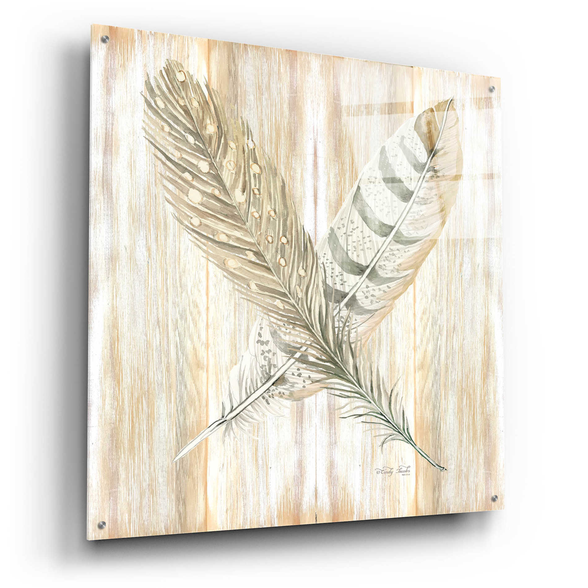 Epic Art 'Feathers Crossed II' by Cindy Jacobs, Acrylic Glass Wall Art,36x36