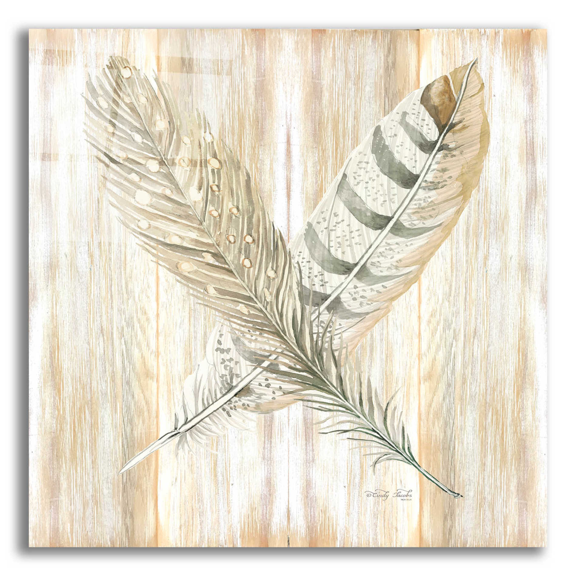 Epic Art 'Feathers Crossed II' by Cindy Jacobs, Acrylic Glass Wall Art