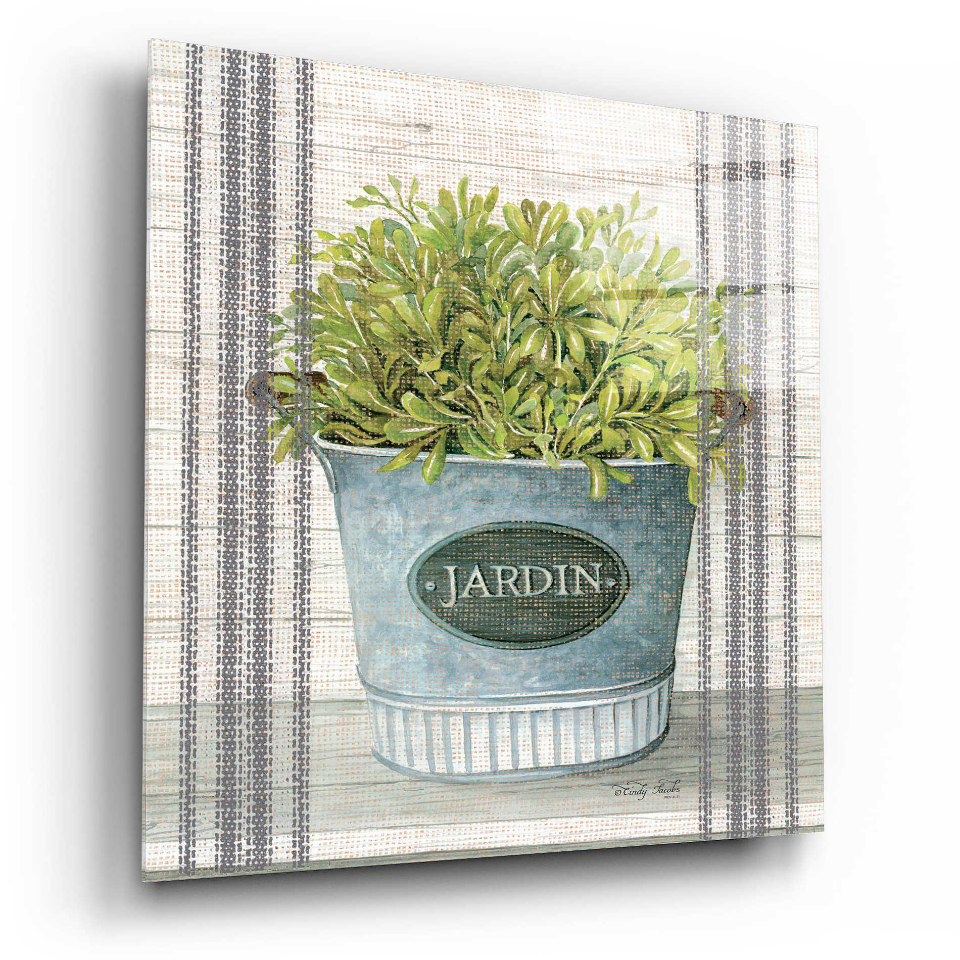 Epic Art 'Galvanized Jardin' by Cindy Jacobs, Acrylic Glass Wall Art,12x12