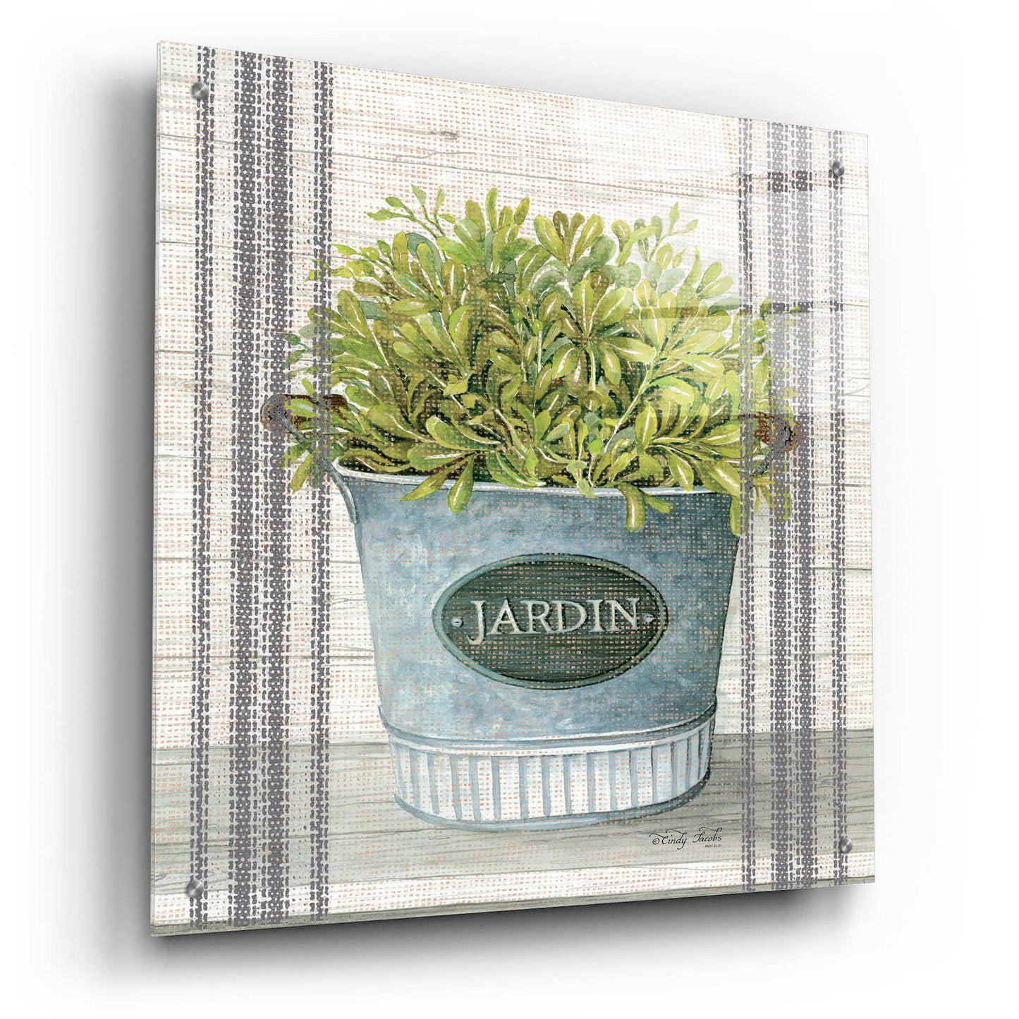 Epic Art 'Galvanized Jardin' by Cindy Jacobs, Acrylic Glass Wall Art,24x24