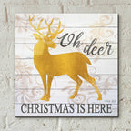 Epic Art 'Oh Deer Christmas is Here' by Cindy Jacobs, Acrylic Glass Wall Art,12x12